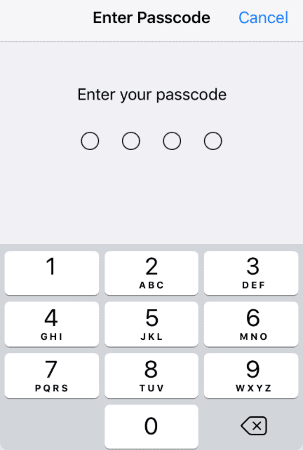 iPad Enter Passcode