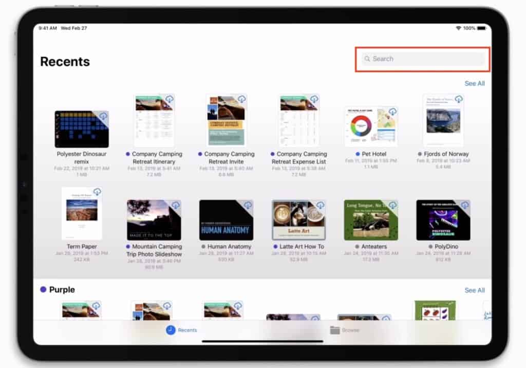 iPad Files App Search