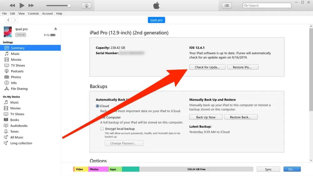 Apple iPad Check for Update on iTunes