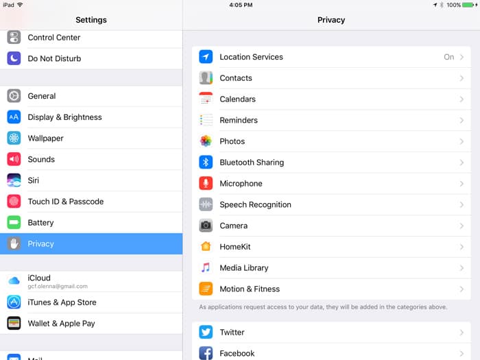 iPad Privacy Settings