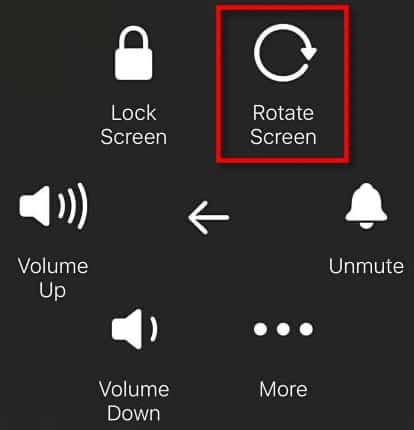 Apple iPad Screen Rotation AssistiveTouch