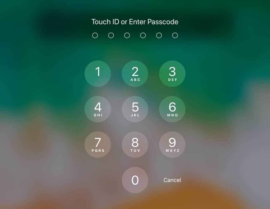 Apple iPad Enter Passcode Lock Screen