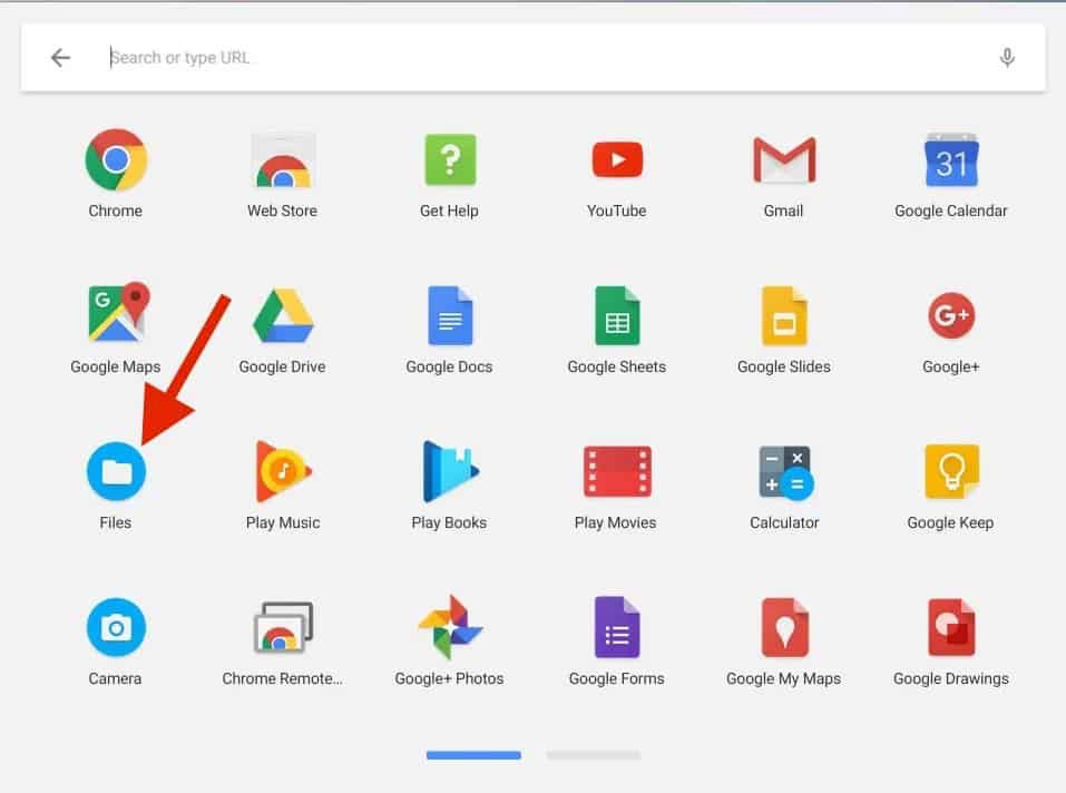 Chrome Files App
